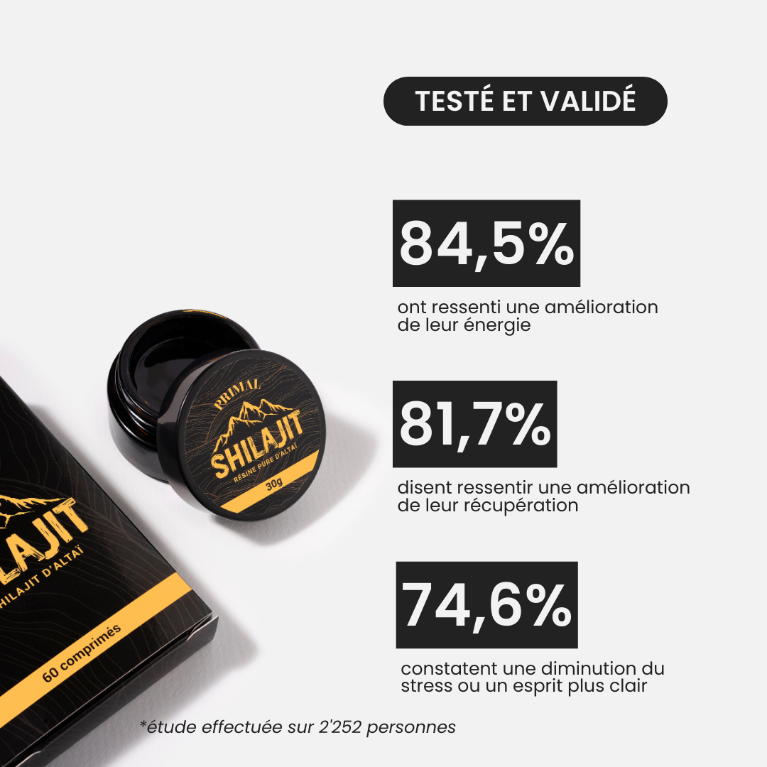 Comprimés de Shilajit Primal
