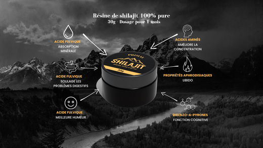 Shilajit bienfaits : La liste