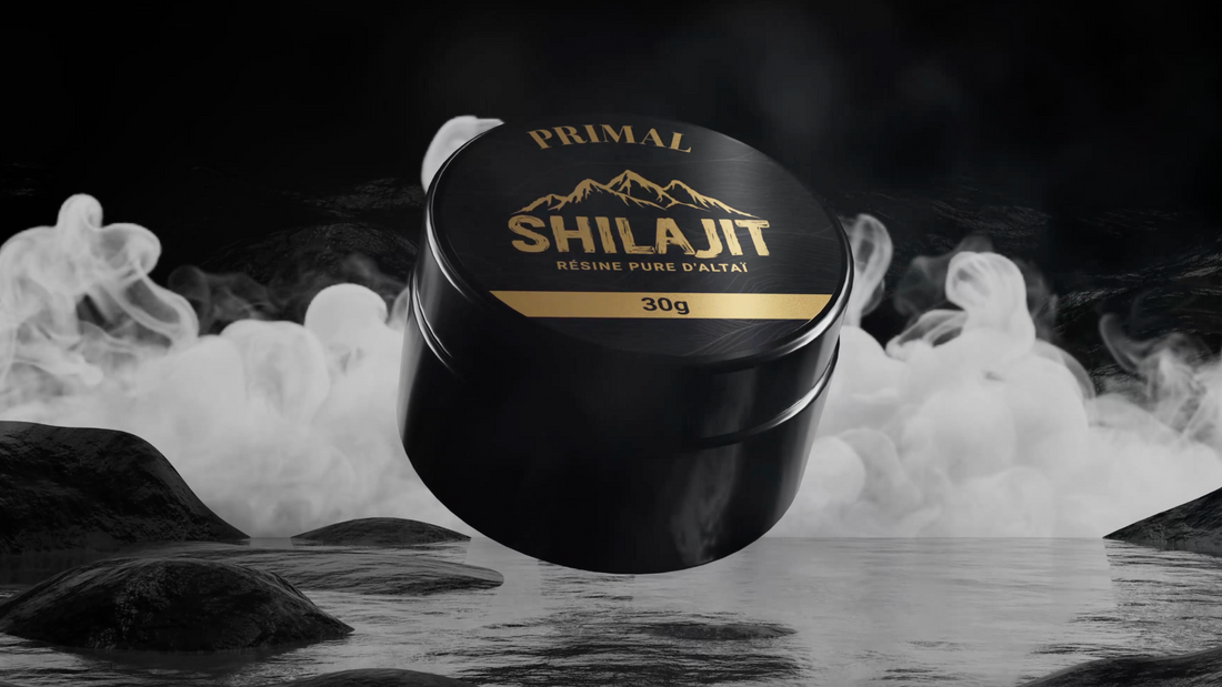 Comment choisir le meilleur shilajit : Guide complet et comparatif