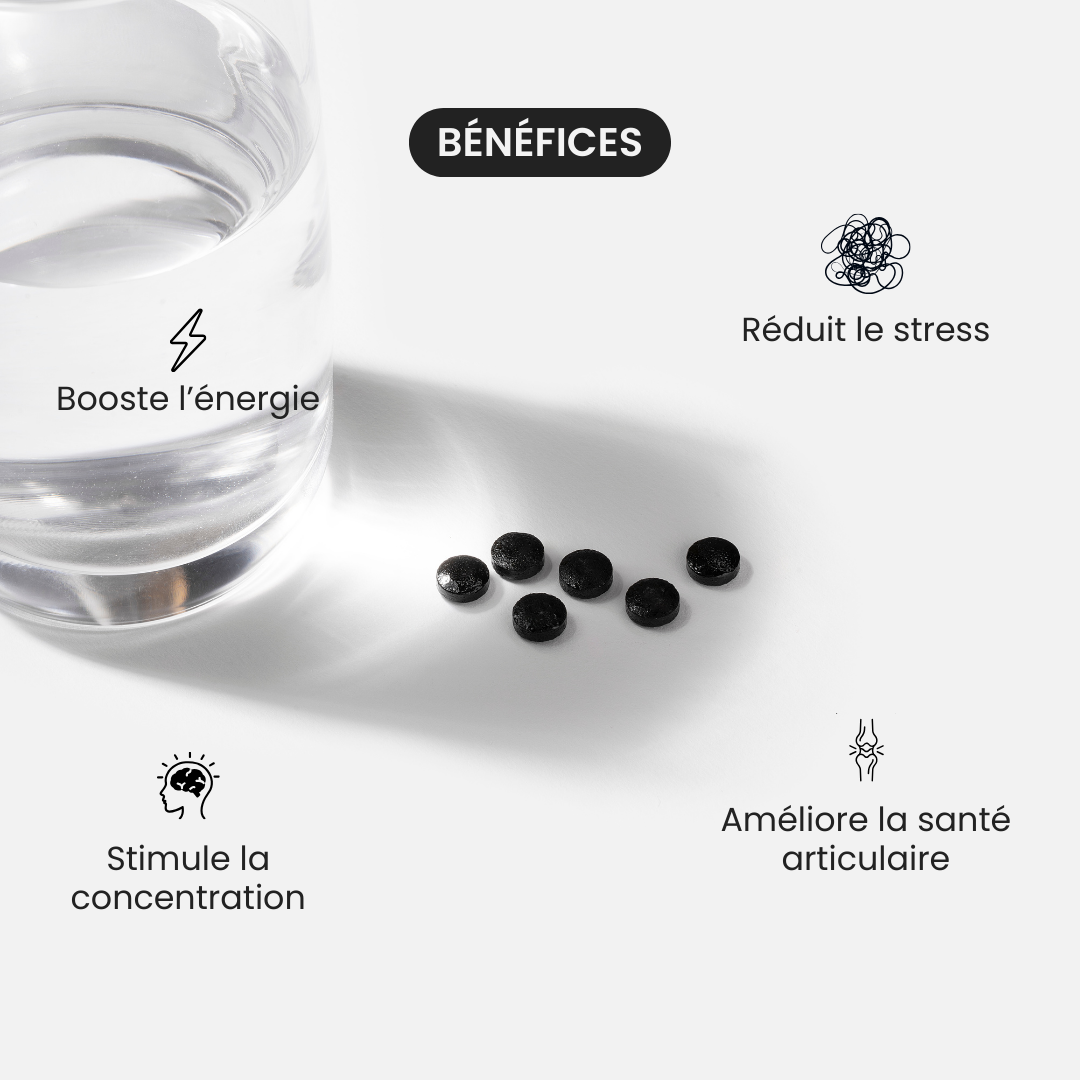 Comprimés de Shilajit Primal - Booster Naturel de Testostérone