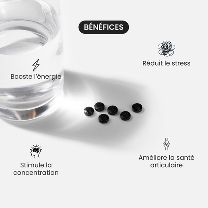 Comprimés de Shilajit Primal - Booster Naturel de Testostérone