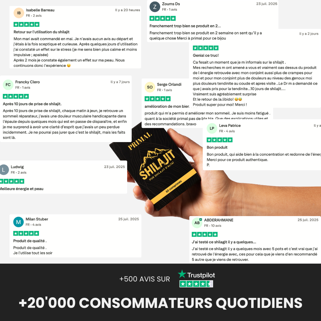 Comprimés de Shilajit Primal - Booster Naturel de Testostérone